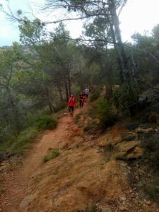 Salidas Trekking