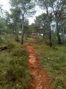 Salidas Trekking