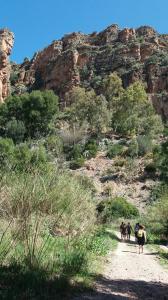 Salidas Trekking