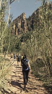 Salidas Trekking