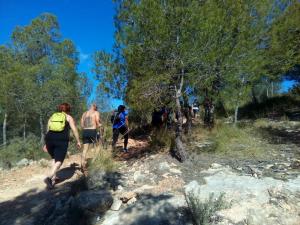 Salidas Trekking