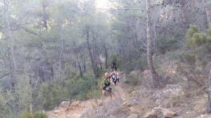 Salidas Trekking