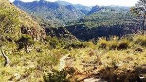 Salidas Trekking