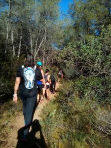 Salidas Trekking