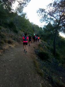 Salidas Trekking