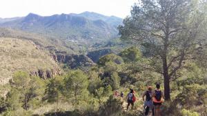 Salidas Trekking