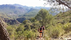 Salidas Trekking