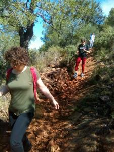 Salidas Trekking