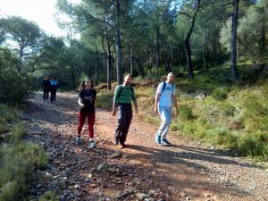 Salidas Trekking
