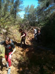 Salidas Trekking