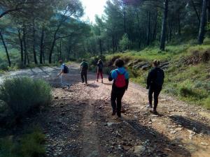 Salidas Trekking