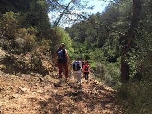 Salidas Trekking
