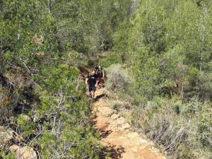 Salidas Trekking