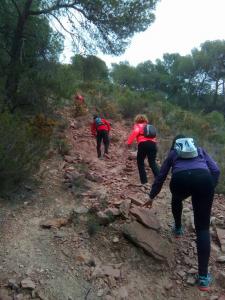 Salidas Trekking